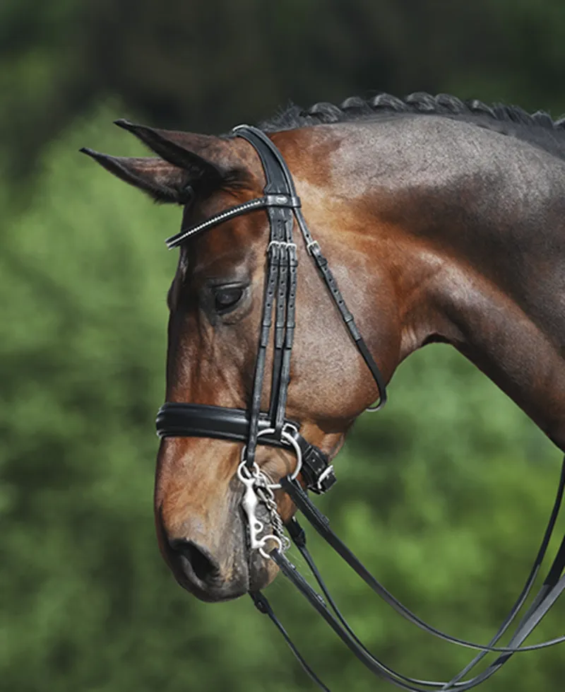 Passier Fortuna Double Bridle brown F/S